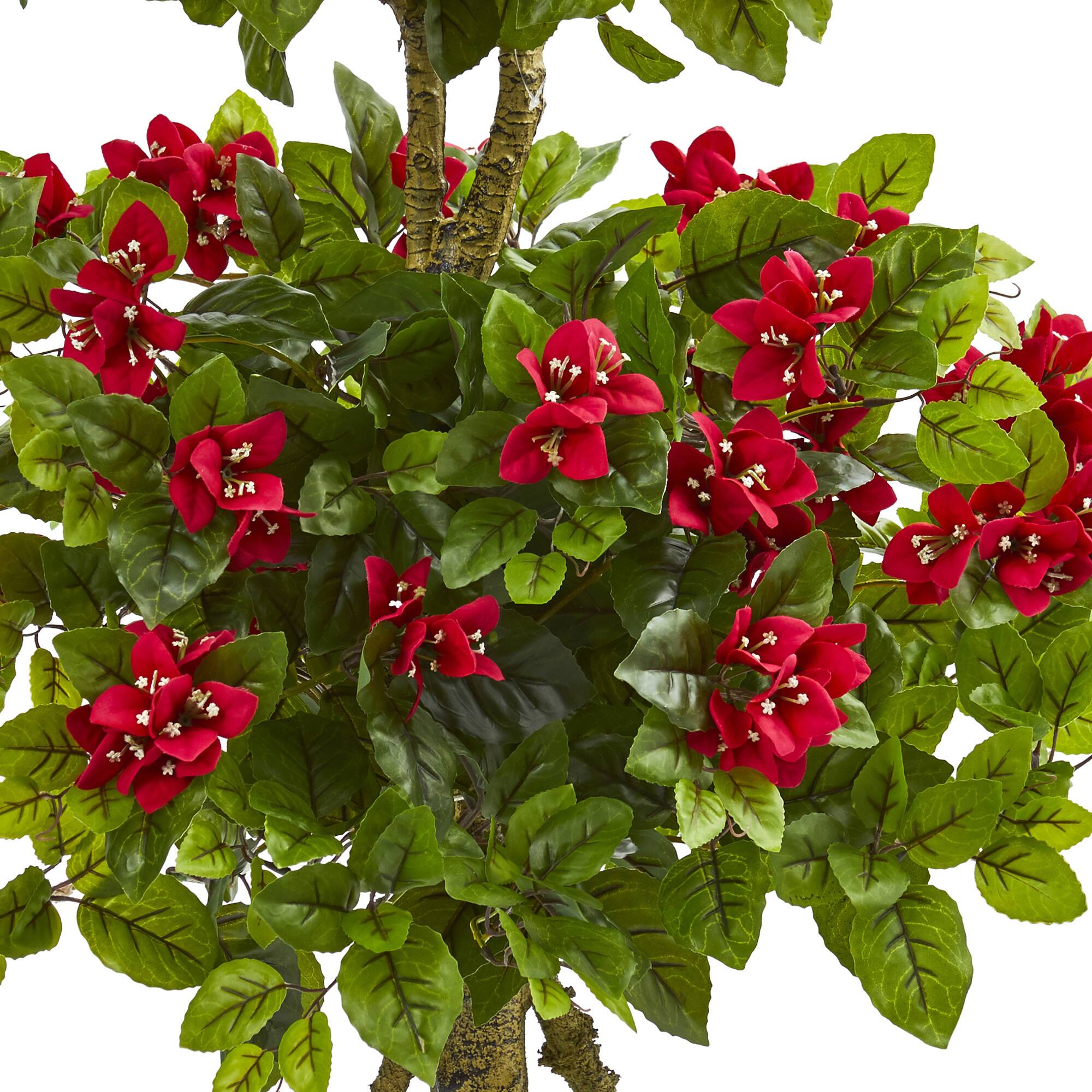 4ft. Potted Double Bougainvillea Topiary Tree